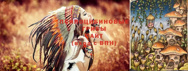 молекула духа Пересвет