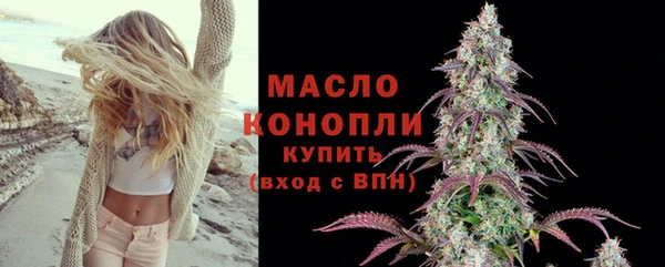 молекула духа Пересвет