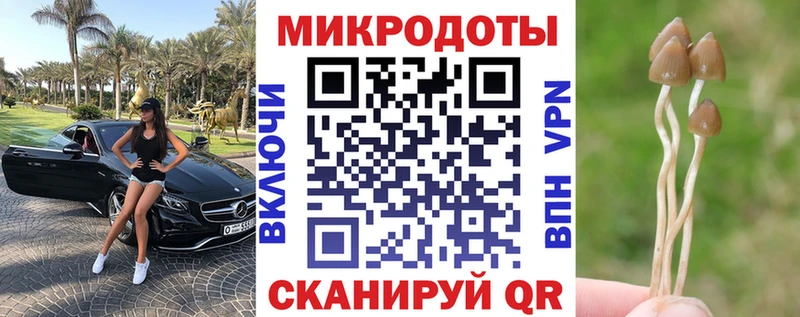 Псилоцибиновые грибы Psilocybe  Купить закладки  Славск 